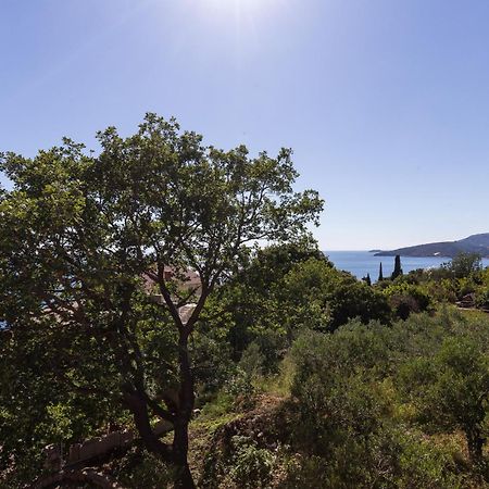 Villa Dubravka Mlini Oda fotoğraf