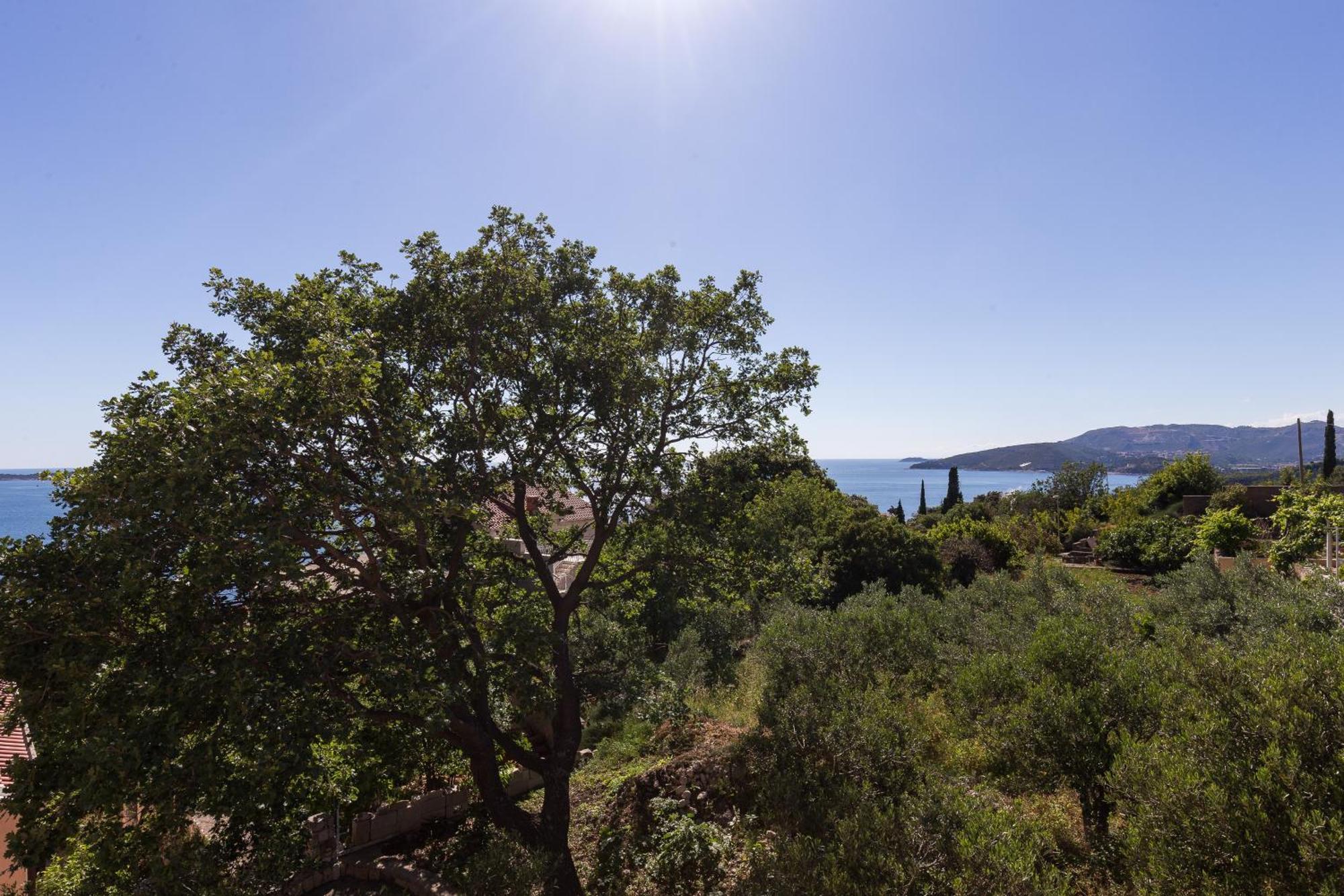 Villa Dubravka Mlini Oda fotoğraf